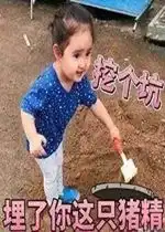 挖个坑埋了你这只猪精表情包现在亲在我的嘴唇上搞笑表情包下载乐游网游戏下载
