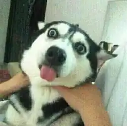 颖儿如何掰弯自己的钢铁男人
