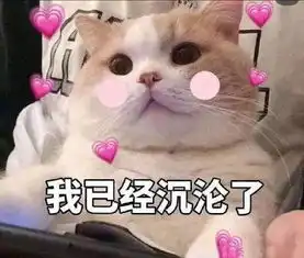 猫咪表情包合集我没事,我很快乐
