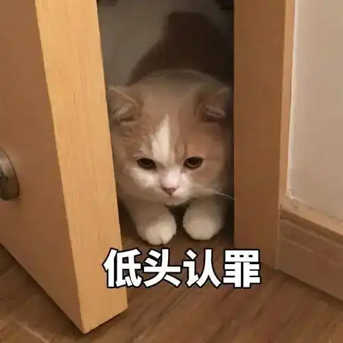 周末直冲26冷空气下岗,义乌人最讨厌的东西也来了
