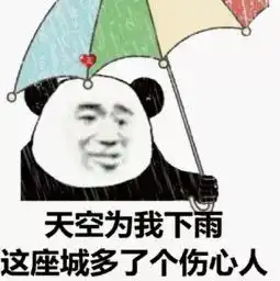 双台风胚胎共舞来袭36高温雷阵雨接下来四会天气要让人崩溃...
