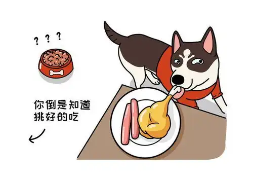 狗咬你并非看不惯你,可能以为你要抢它吃的正确引导护食很重要