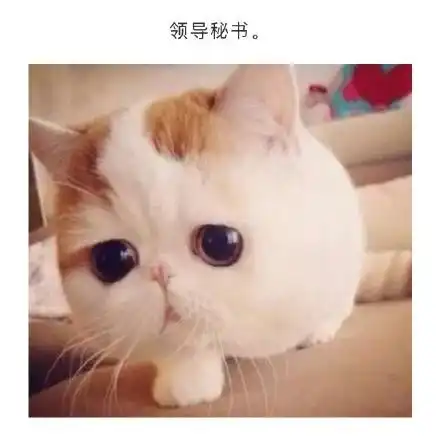 单位各部门领导表情包,笑cry
