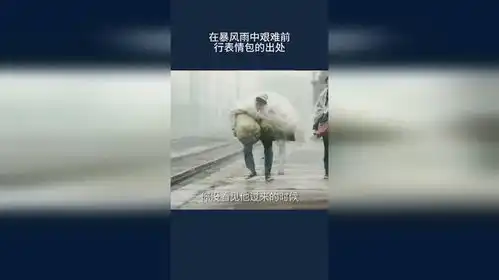 在暴风雨中艰难前行表情包的出处

