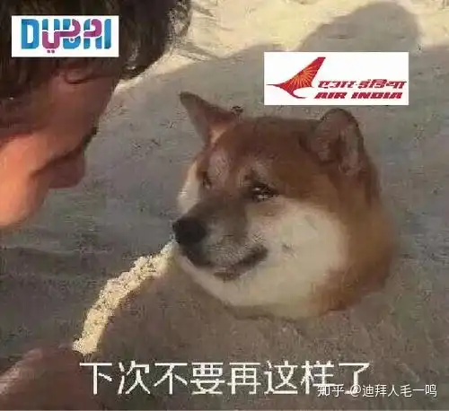 客观分析为什么阿联酋的疫情又反弹了
