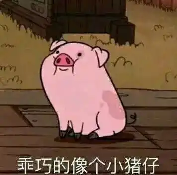 关于2018级本专科新生登录学信网查询学籍信息的通知
