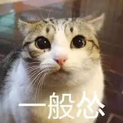 交警启用无人机航拍违章,还能直接喊话可都长点儿心吧,我的老司机们