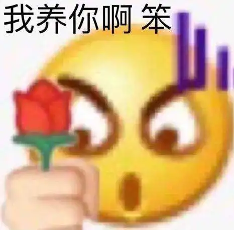 孙一宁王思聪聊天表情包
