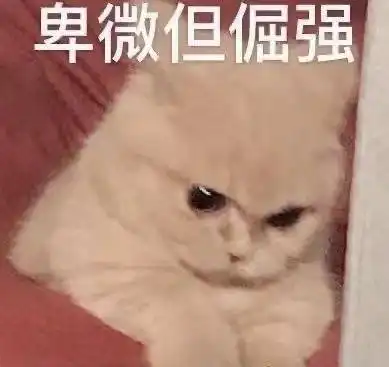 年薪百万是什么感觉
