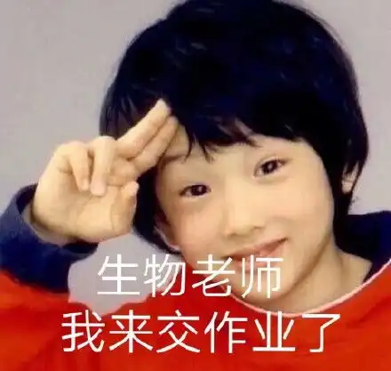 老师我来交作业了表情包下载抖音老师我来交作业了图片下载西门手游网
