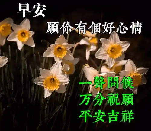 晨祝福语图片大全,早上好问候句子表情包
