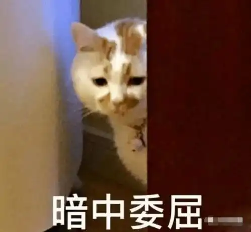 收视毒药的逆袭之路,搭档视帝上演黑色喜剧
