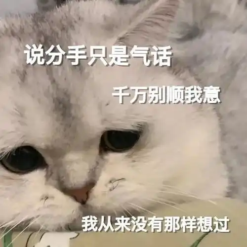 小鹅吃惊表情包
