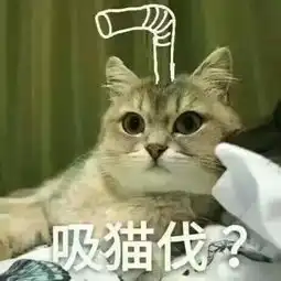 戏精不是attentionbitch,别让老外看了笑话
