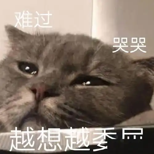 表情包动图你再说一遍