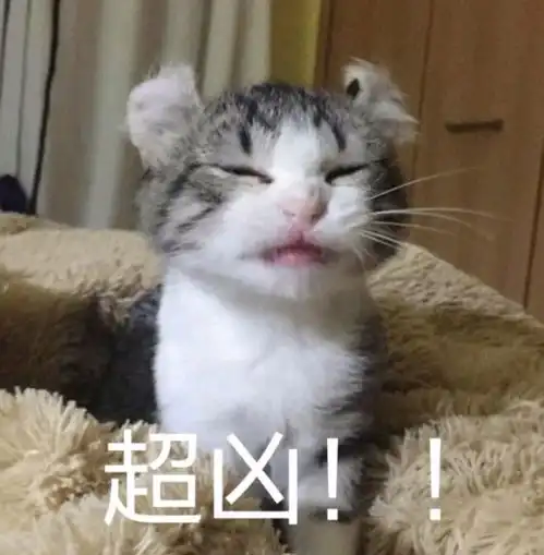 总是反复感冒可能是这病毒在作妖教你预防
