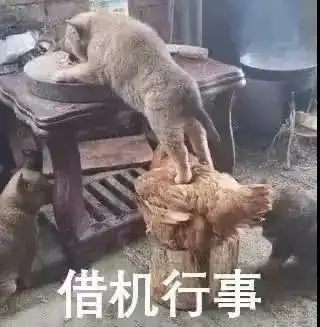 有大病的表情包
