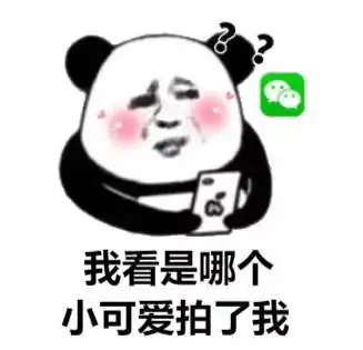 熊猫头关于拍一拍的表情包合集拍我就要做我老婆
