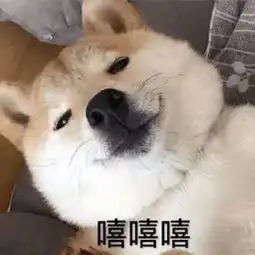 没有一点点防备,看到这些我就突然落了泪
