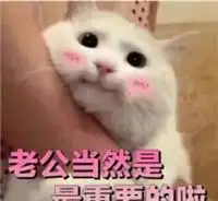 老公永远是对的表情包对老公撒娇的表情包猫咪
