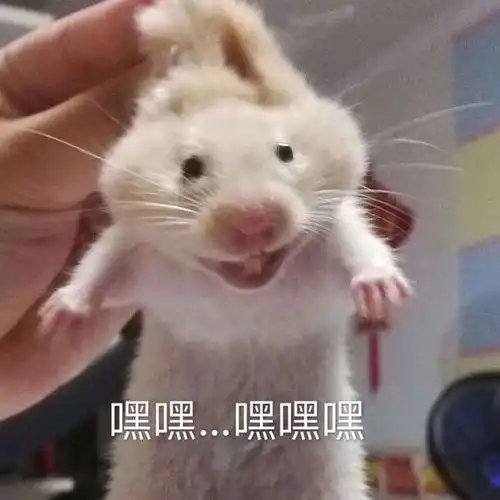 md还得起个标题我胡乱发的乐呵乐呵得了nmd
