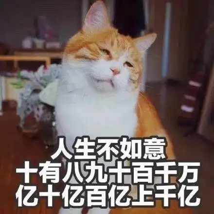 有最近流行的表情包吗
