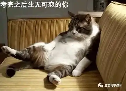 考试时的一百种表情
