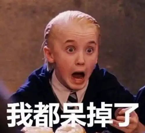 当哈利波特全员看到自己的表情包时
