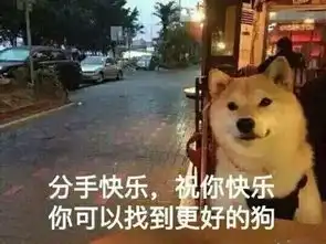 斗图表情包情人节到了你依旧还是一只孤独的单身狗

