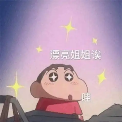 蜡笔小新表情包你失去我了
