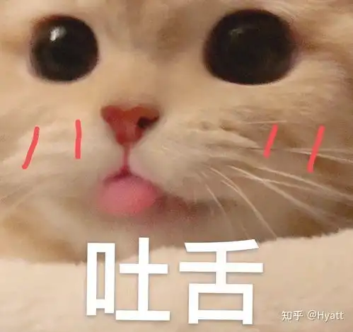 假如你发现你喜欢的人在跟别的女人聊的很嗨皮,你该做点什么呢
