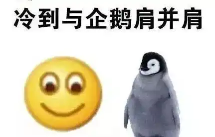 寒潮来了寿光气温最低5有冰冻这几件事千万别做
