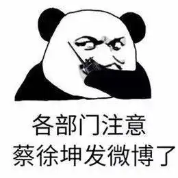 蔡徐坤表情包粉丝ikun专用
