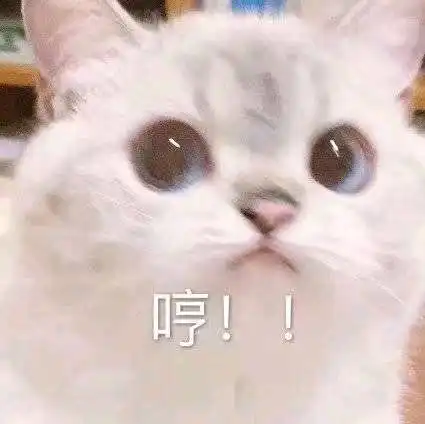 表情包你快点亲我

