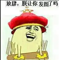 怎么向ipod导入音乐
