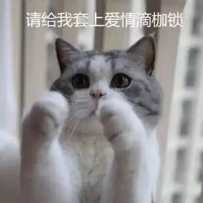 示爱表情包拿图片请给我套上,你爱情的枷锁
