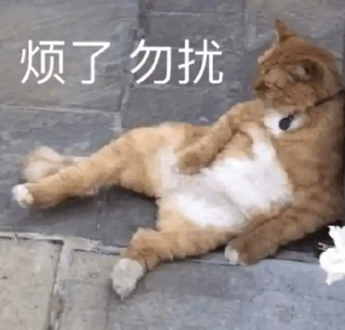 嘉庚体测大型崩溃现场体测一次,残废一周...
