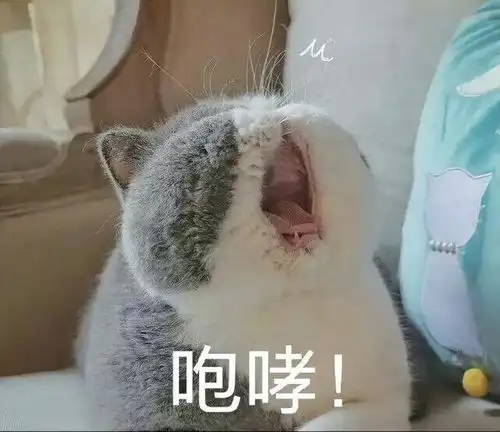 收到免费水果后,她开始了漫漫刷单路
