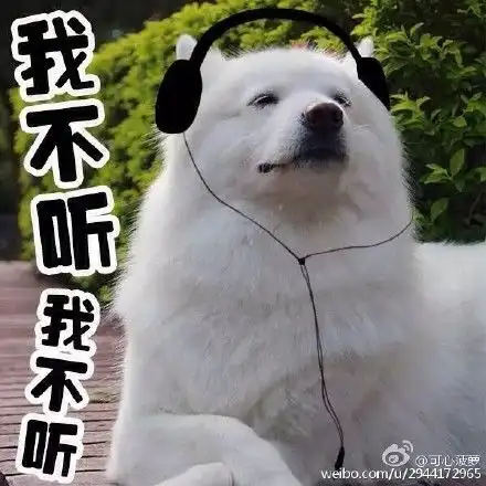 用了那么多年宠物表情包,你知道它们本尊都是谁吗,哈哈哈笑死个人
