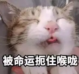 该不该给猫猫做绝育手术
