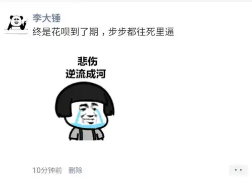 神评论盘点花呗逾期发感慨,评论居然拼成诗,真是让人忍俊不禁
