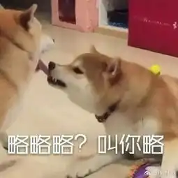 一波朝你发射吐舌头卖萌攻势的动物,略略略
