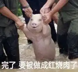 这只冲出国门的猪,以表情包刷爆朋友圈之外还被歪果仁玩坏了
