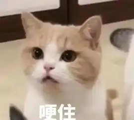张家港日语之为什么学日语总是坚持不下去

