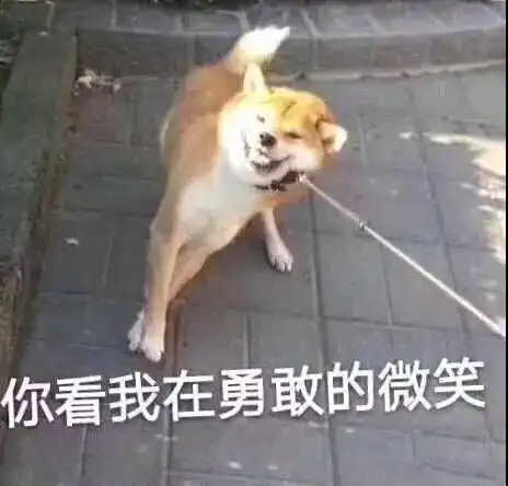 温哥华飞北京航班备降,华人夫妇被担架强行抬下飞机原因让人脸红...
