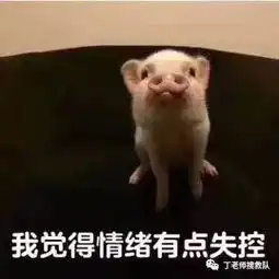 想发布领养的小伙伴看过来
