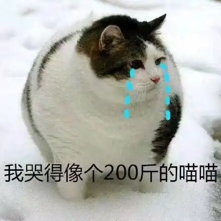 所有人,来自妲己宝宝的福利私信,请注意查收
