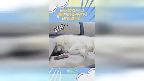 狗子热衷于干饭,熟睡中听到吃饭口令,它的表情亮了
