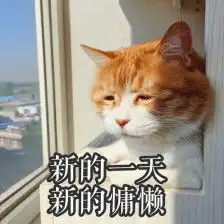 有哪些特别萌的宠物表情包
