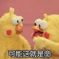 你的同学们都有哪些搞笑的口头禅
